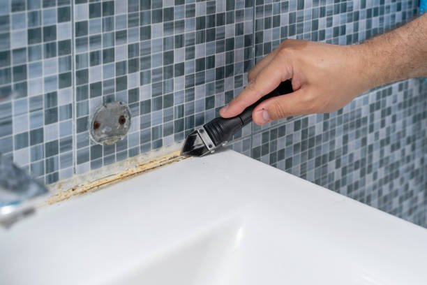 Best Home Mold Removal  in Hugo, MN