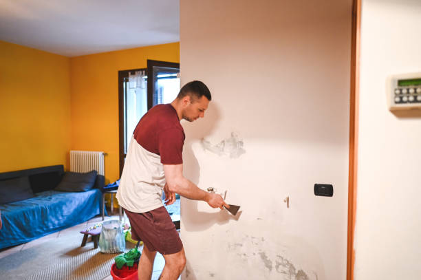 Attic Mold Removal in Hugo, MN